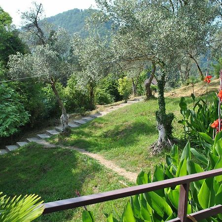 Villa Oliva New Athos Екстер'єр фото